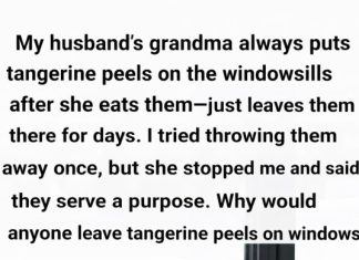 Why You Should Place Tangerine Peels on Your Windowsill Why You Should Place Tangerine Peels on Your Windowsill - featured image