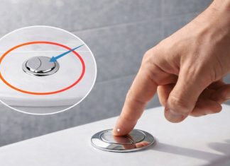 Why Some Professionals Recommend Rethinking When You Flush Why Some Professionals Recommend Rethinking When You Flush - featured image