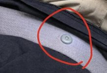 The Hidden Function of Your Seat Belt’s Round Button Explained The Hidden Function of Your Seat Belt’s Round Button Explained - featured image