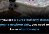The Meaning Behind the Purple Butterfly Sticker in Newborn Care The Meaning Behind the Purple Butterfly Sticker in Newborn Care - featured image