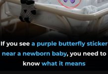 The Meaning Behind the Purple Butterfly Sticker in Newborn Care The Meaning Behind the Purple Butterfly Sticker in Newborn Care - featured image