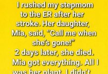 The Secret Beneath the Jade Plant Changed Everything The Secret Beneath the Jade Plant Changed Everything - featured image