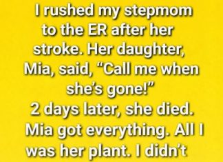 The Secret Beneath the Jade Plant Changed Everything The Secret Beneath the Jade Plant Changed Everything - featured image