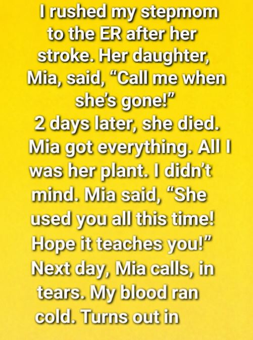 The Secret Beneath the Jade Plant Changed Everything - featured image The Secret Beneath the Jade Plant Changed Everything - featured image