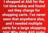 Why Aldi Uses a Coin Deposit for Its Shopping Carts Why Aldi Uses a Coin Deposit for Its Shopping Carts - featured image