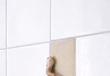 The Small Pink Spot on My Wall That Made Me Take a Closer Look The Small Pink Spot on My Wall That Made Me Take a Closer Look - featured image