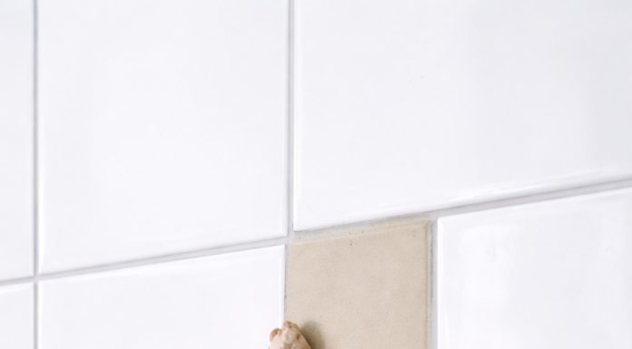 The Small Pink Spot on My Wall That Made Me Take a Closer Look The Small Pink Spot on My Wall That Made Me Take a Closer Look - featured image