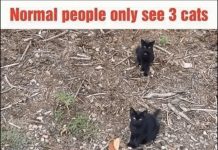 If You Haven’t Seen This, Take a Look If You Haven’t Seen This, Take a Look - featured image