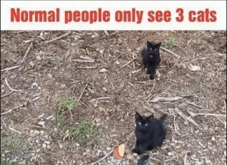 If You Haven’t Seen This, Take a Look If You Haven’t Seen This, Take a Look - featured image