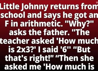 Why a Student Received a Low Grade in Math Despite Understanding the Concept Why a Student Received a Low Grade in Math Despite Understanding the Concept - featured image