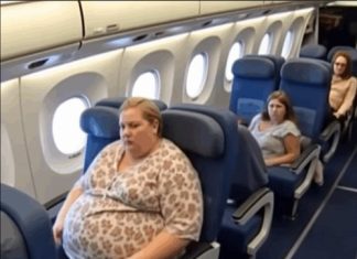 Sarah’s Inspiring Journey to Make Travel More Inclusive for All Body Types Sarah’s Inspiring Journey to Make Travel More Inclusive for All Body Types - featured image