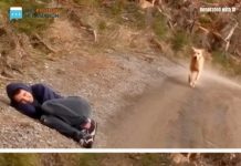 She Appears Lifeless on the Street, and the Story Behind It Warms My Heart She Appears Lifeless on the Street, and the Story Behind It Warms My Heart - featured image