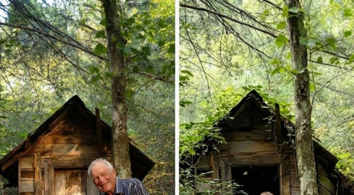 My Brother Took the House, But Grandpa’s Cabin Held a Surprising Secret My Brother Took the House, But Grandpa’s Cabin Held a Surprising Secret - featured image