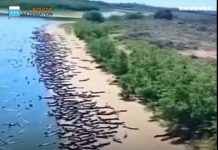 “Top 10 Most Treacherous Beaches Around the Globe” “Top 10 Most Treacherous Beaches Around the Globe” - featured image