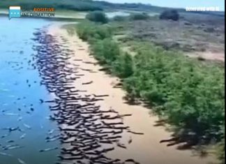 “Top 10 Most Treacherous Beaches Around the Globe” “Top 10 Most Treacherous Beaches Around the Globe” - featured image