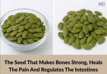 The Tiny Seed That Supports Bone Health and Digestion The Tiny Seed That Supports Bone Health and Digestion - featured image