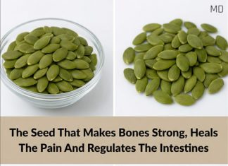 The Tiny Seed That Supports Bone Health and Digestion The Tiny Seed That Supports Bone Health and Digestion - featured image