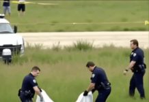 “Former 80s Star Actress Found Dead in Open Field at Dawn” “Former 80s Star Actress Found Dead in Open Field at Dawn” - featured image