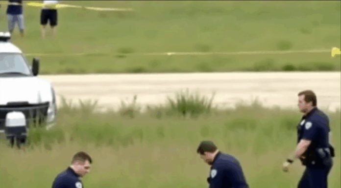 “Former 80s Star Actress Found Dead in Open Field at Dawn” “Former 80s Star Actress Found Dead in Open Field at Dawn” - featured image