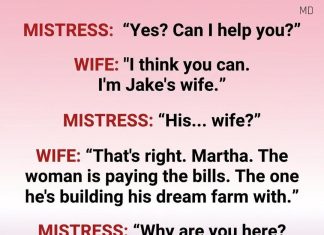 He Tried to Mislead Two Women at Once—He Never Expected Them to Work Together He Tried to Mislead Two Women at Once—He Never Expected Them to Work Together - featured image