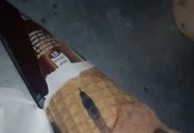 She Found Something Strange Inside Her Ice Cream She Found Something Strange Inside Her Ice Cream - featured image