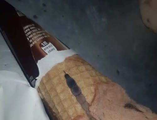 She Found Something Strange Inside Her Ice Cream She Found Something Strange Inside Her Ice Cream - featured image