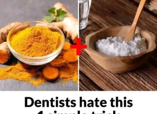 How to Remove Tartar and Plaque from Your Teeth Without a Dentist: Turmeric and Salt How to Remove Tartar and Plaque from Your Teeth Without a Dentist: Turmeric and Salt - featured image