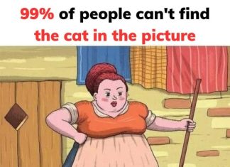Can You Spot the Hidden Cat That’s Baffling Viewers? Can You Spot the Hidden Cat That’s Baffling Viewers? - featured image