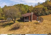 36 Acres with Cabin | Auction Property in Hot Springs, Virginia 36 Acres with Cabin | Auction Property in Hot Springs, Virginia - featured image
