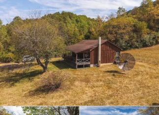 36 Acres with Cabin | Auction Property in Hot Springs, Virginia 36 Acres with Cabin | Auction Property in Hot Springs, Virginia - featured image