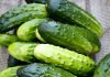 Doctors reveal that eating cucumber in salads causes… Doctors reveal that eating cucumber in salads causes… - featured image