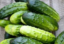 Doctors reveal that eating cucumber in salads causes… Doctors reveal that eating cucumber in salads causes… - featured image