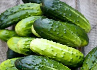 Doctors reveal that eating cucumber in salads causes… Doctors reveal that eating cucumber in salads causes… - featured image