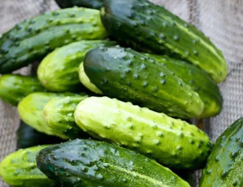 Doctors reveal that eating cucumber in salads causes… Doctors reveal that eating cucumber in salads causes… - featured image