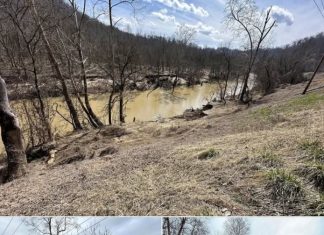 22.46 Acres of Wooded Kentucky Countryside with Riverfront Access in Jackson 22.46 Acres of Wooded Kentucky Countryside with Riverfront Access in Jackson - featured image