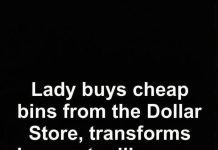 Budget-Friendly DIY Pantry Organization Using Dollar Store Bins as a Practical, Stylish, and Long-Term Solution for Creating a Calm, Efficient, and Visually Cohesive Kitchen Storage System Without High Costs or Professional Help Budget-Friendly DIY Pantry Organization Using Dollar Store Bins as a Practical, Stylish, and Long-Term Solution for Creating a Calm, Efficient, and Visually Cohesive Kitchen Storage System Without High Costs or Professional Help - featured image