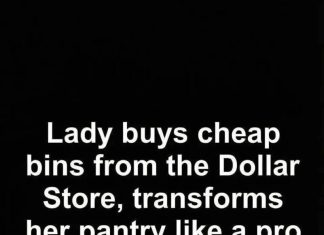 Budget-Friendly DIY Pantry Organization Using Dollar Store Bins as a Practical, Stylish, and Long-Term Solution for Creating a Calm, Efficient, and Visually Cohesive Kitchen Storage System Without High Costs or Professional Help Budget-Friendly DIY Pantry Organization Using Dollar Store Bins as a Practical, Stylish, and Long-Term Solution for Creating a Calm, Efficient, and Visually Cohesive Kitchen Storage System Without High Costs or Professional Help - featured image