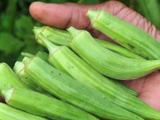 Doctors Reveal What Happens When You Eat Okra Regularly Doctors Reveal What Happens When You Eat Okra Regularly - featured image