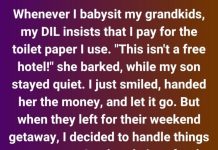 “She Charged Me for Toilet Paper—So I Showed Her the Real Cost of ‘Not Being a Freeloader’” “She Charged Me for Toilet Paper—So I Showed Her the Real Cost of ‘Not Being a Freeloader’” - featured image