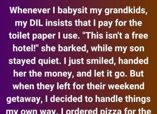 “She Charged Me for Toilet Paper—So I Showed Her the Real Cost of ‘Not Being a Freeloader’” “She Charged Me for Toilet Paper—So I Showed Her the Real Cost of ‘Not Being a Freeloader’” - featured image