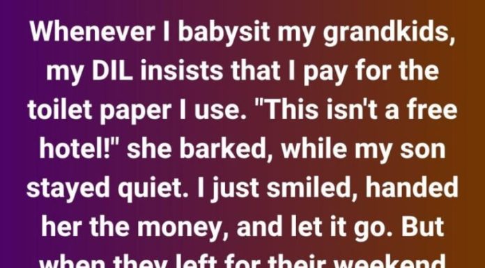 “She Charged Me for Toilet Paper—So I Showed Her the Real Cost of ‘Not Being a Freeloader’” “She Charged Me for Toilet Paper—So I Showed Her the Real Cost of ‘Not Being a Freeloader’” - featured image