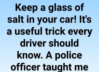 Why A Simple Cup of Salt Could Save Your Car And Your Health Why A Simple Cup of Salt Could Save Your Car And Your Health - featured image