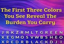 The First Three Colors You See Reveal The Burden You Carry more details in comment👇 The First Three Colors You See Reveal The Burden You Carry more details in comment👇 - featured image