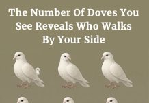 The Number Of Doves You See Reveals Who Walks By Your Side The Number Of Doves You See Reveals Who Walks By Your Side - featured image