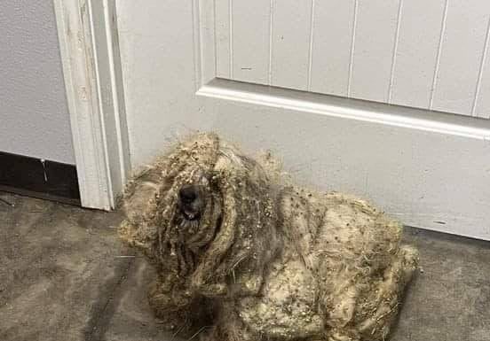 Saved Beneath Five Years Saved Beneath Five Years - featured image