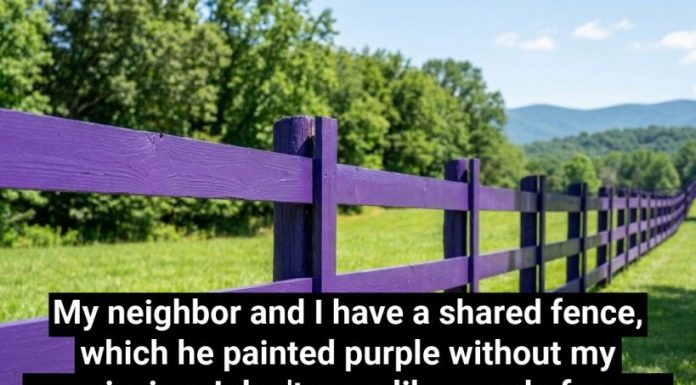If You Spot a Painted Purple Fence, This Is What It Means If You Spot a Painted Purple Fence, This Is What It Means - featured image