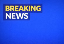 Beloved pizza chain s closes all US locations and files for bankruptcy after 50 years Beloved pizza chain s closes all US locations and files for bankruptcy after 50 years - featured image