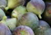 Doctors reveal that eating figs causes… See more… Doctors reveal that eating figs causes… See more… - featured image