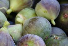 Doctors reveal that eating figs causes… See more… Doctors reveal that eating figs causes… See more… - featured image