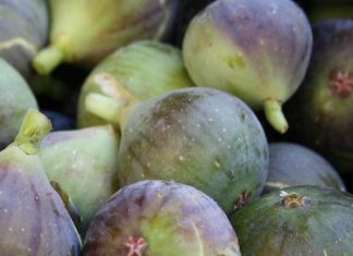 Doctors reveal that eating figs causes… See more… Doctors reveal that eating figs causes… See more… - featured image